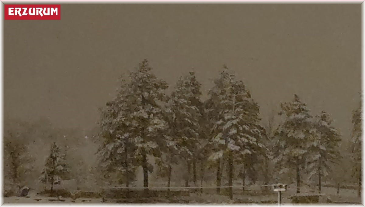 Aşkale kar'a teslim