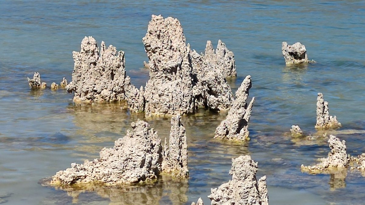 Aslan silüetine benzeyen mikrobiyalit ilgi çekiyor