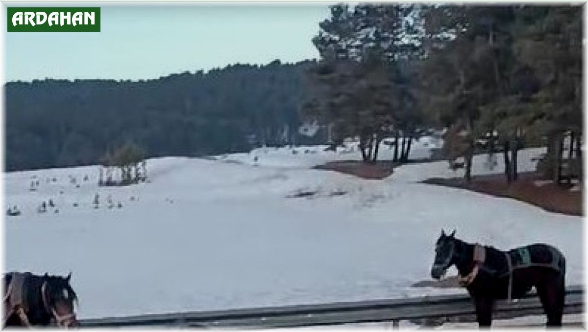 At arabasıyla otomobil çarpıştı: 3 yaralı