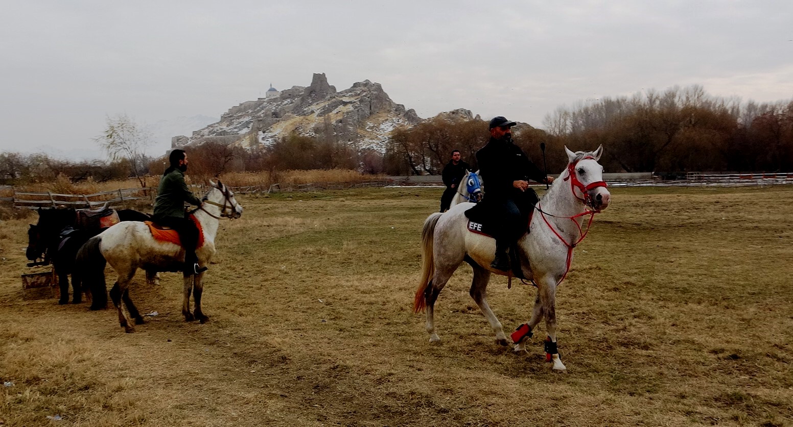 At çiftliğine ilgi büyük