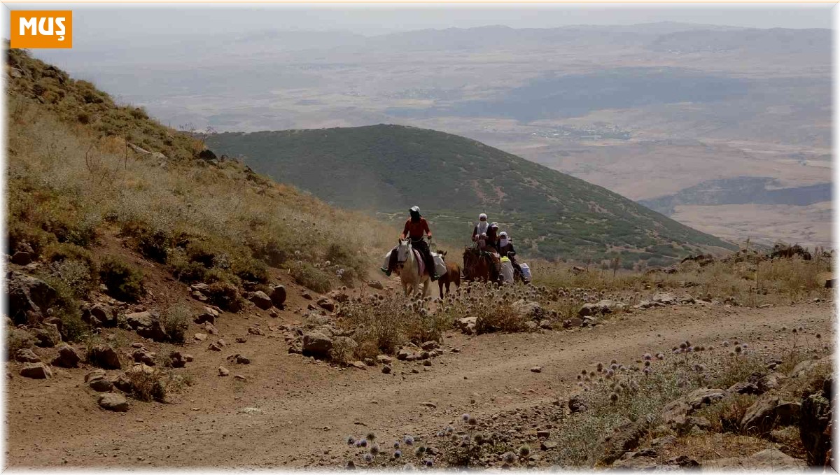 At sırtında 10 kilometre yol giden berivanların zorlu süt sağım mesaisi