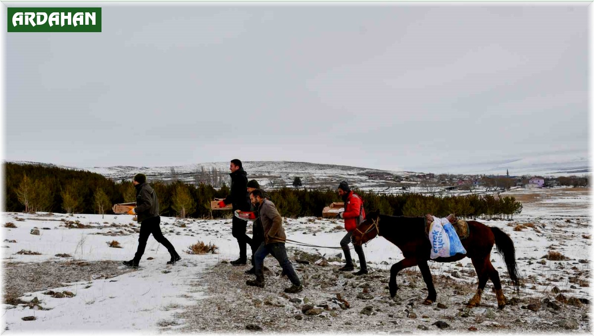 At sırtında yaban hayvanları için doğaya yem bırakıldı