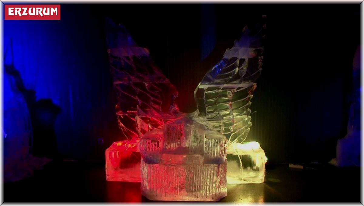 Ata Buz Müzesi, UNESCO'nun dünya müze ödülü için hazırlanıyor