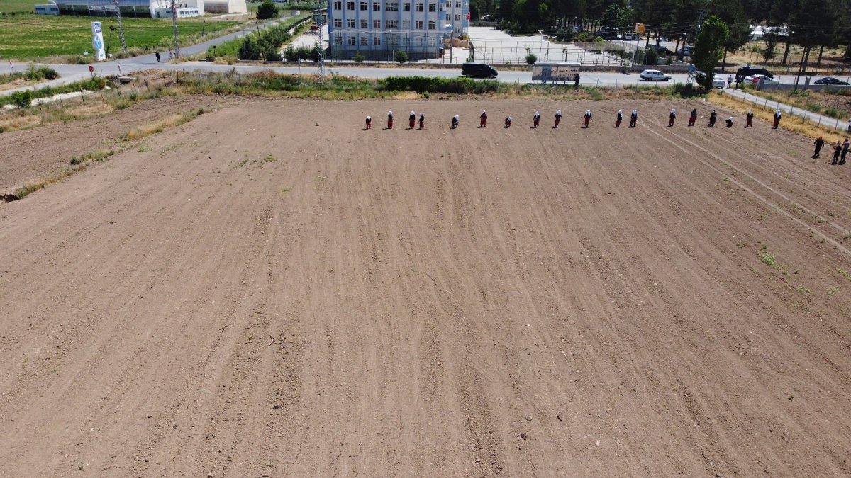 Ata tohumları ve sebze fidanları toprakla buluştu