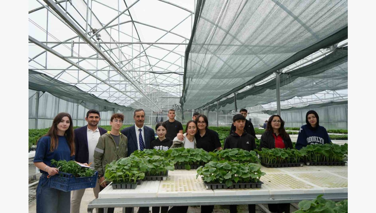 Ata tohumu fidelere öğrenci eli değdi: Hem üretiyorlar hem satıyorlar