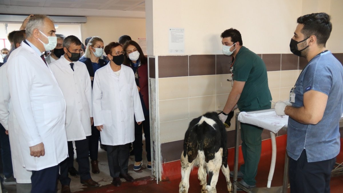 Atatürk Üniversitesi, modern hayvan sağlığı hizmetleriyle dikkat çekiyor