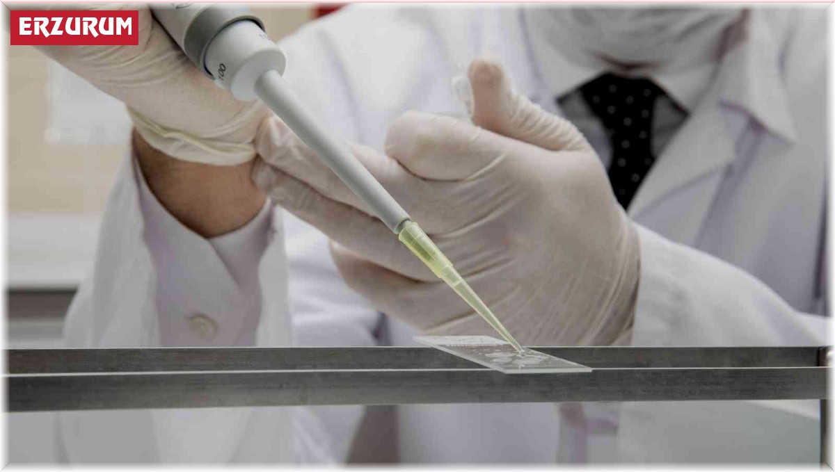 Atatürk Üniversitesinden DMD hastaları için umut verici çalışma