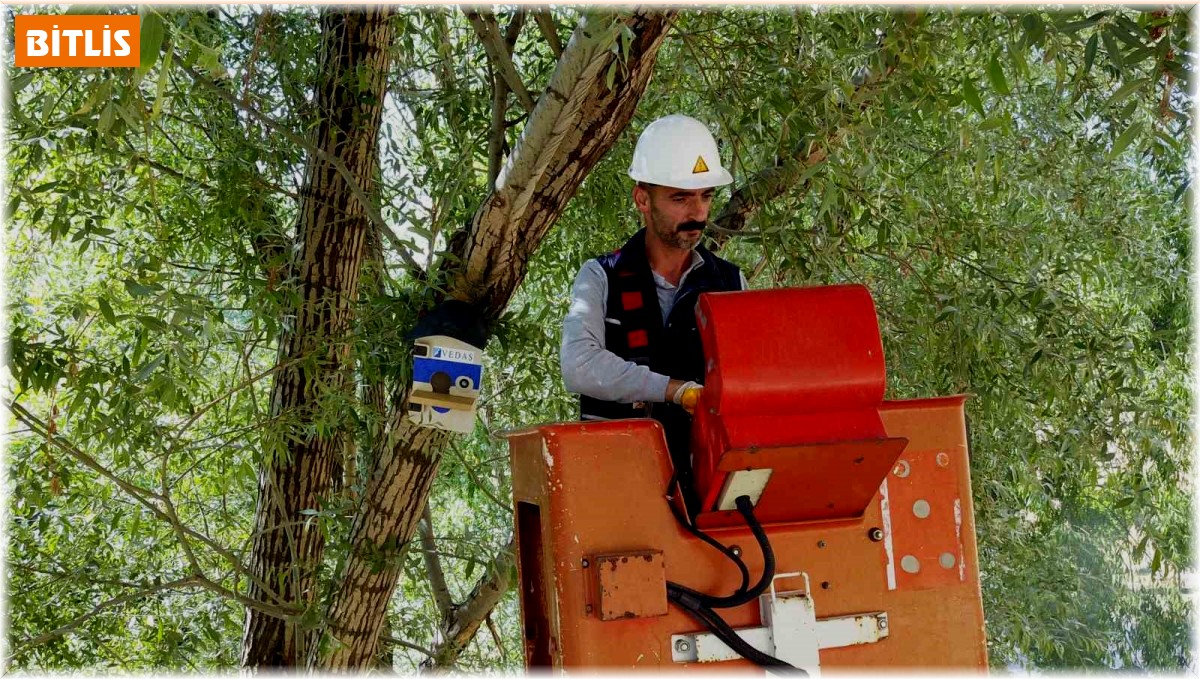 Atıl durumdaki elektrik panoları kuş yuvalarına dönüştürüldü