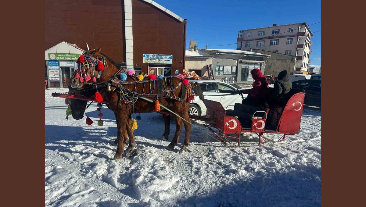 Atlı kızaklar donan göl için hazırlandı