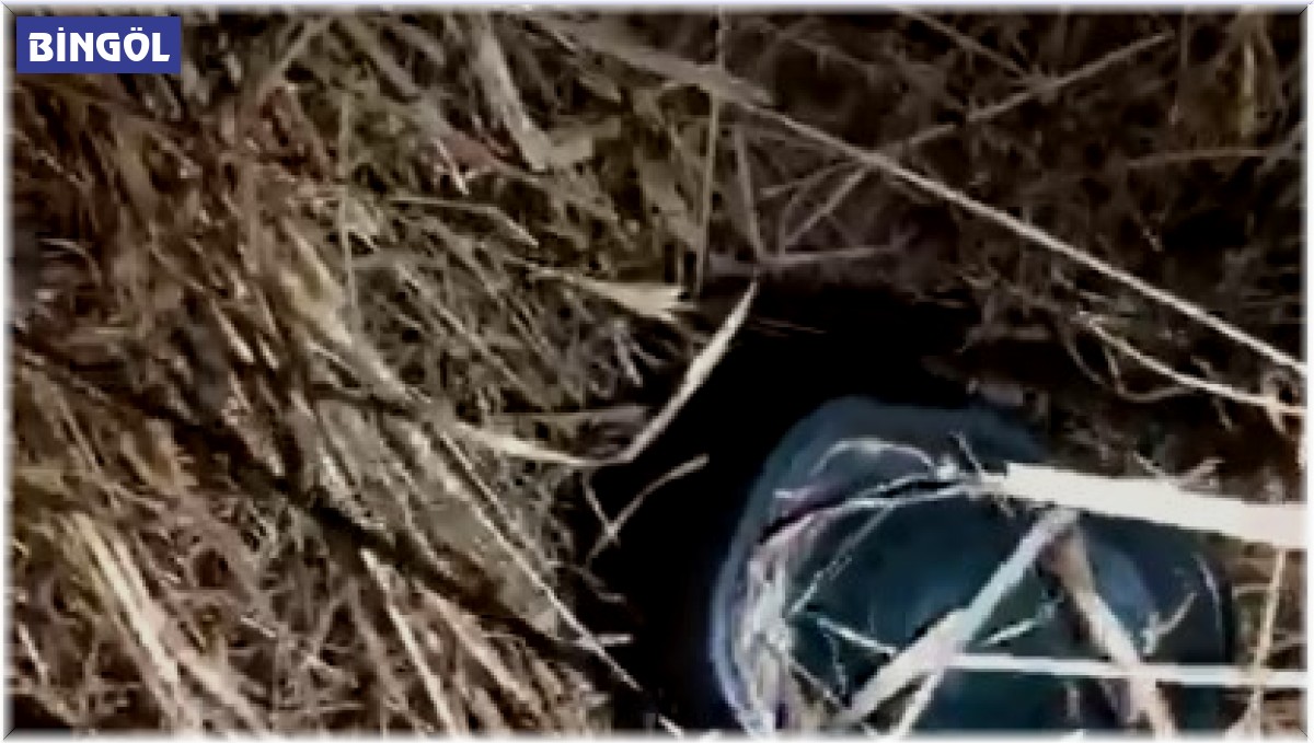 Av denetimlerinde ses cihazı ele geçirildi