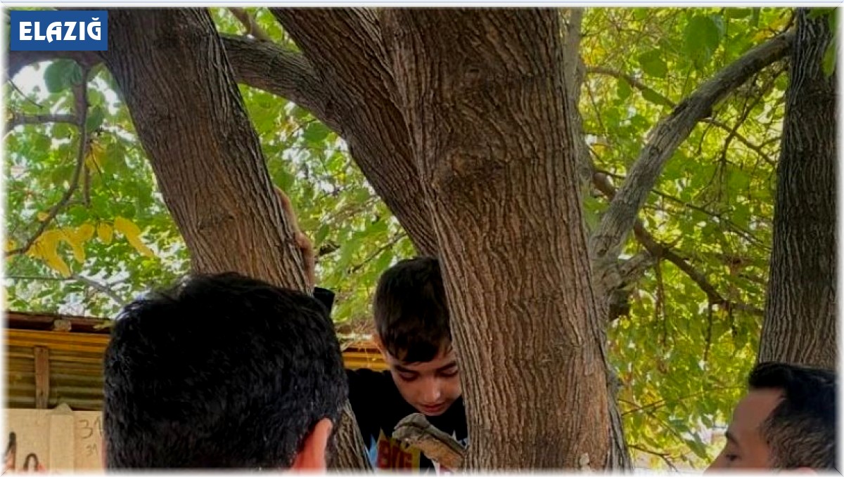 Ayağı ağaca sıkışan çocuğu, itfaiye kurtardı