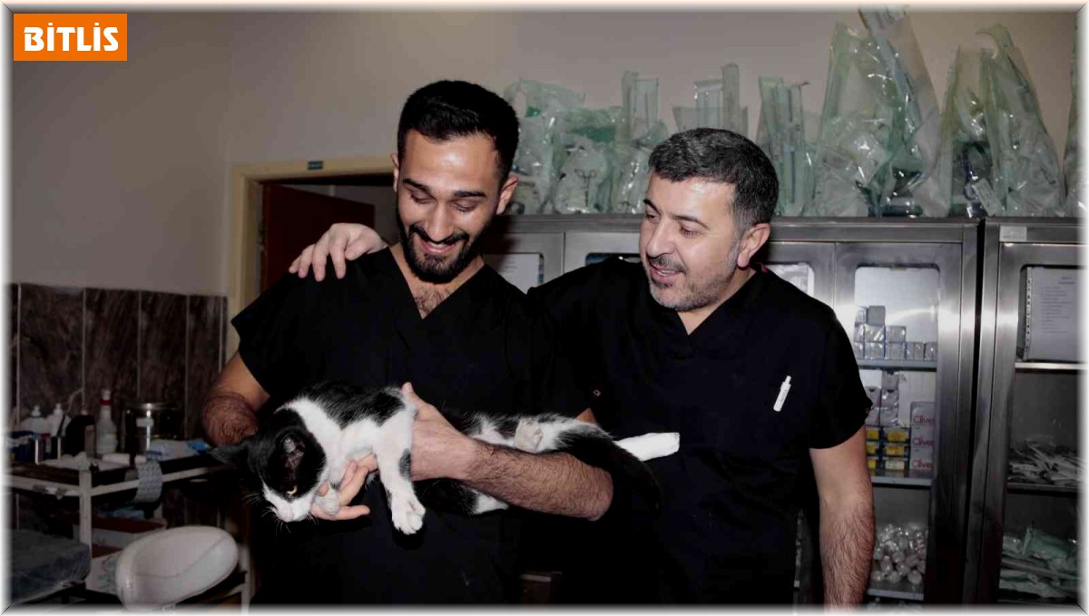 Ayağı kırılan kedi acil servisin yolunu tuttu