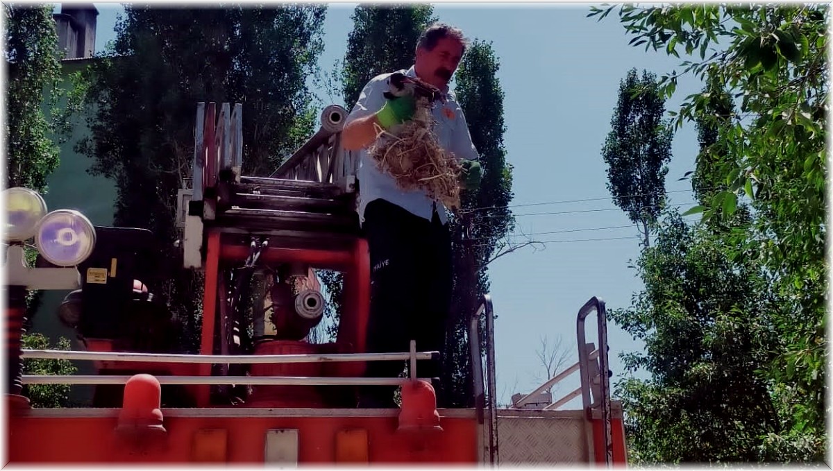 Ayağına dolanan iple ağaçta asılı kalan karga kurtarıldı