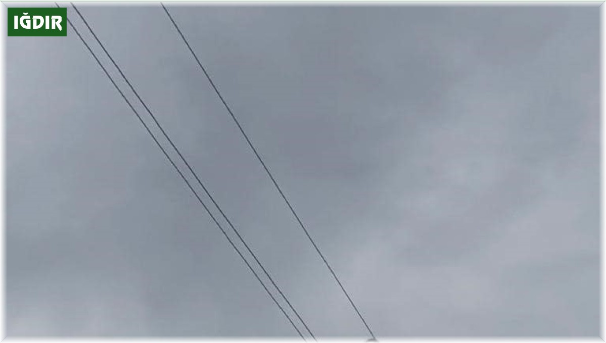 Ayağına ip dolanan leylek kurtarıldı