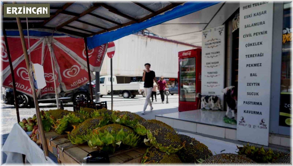 Ayçiçeği tezgahlarda yerini aldı