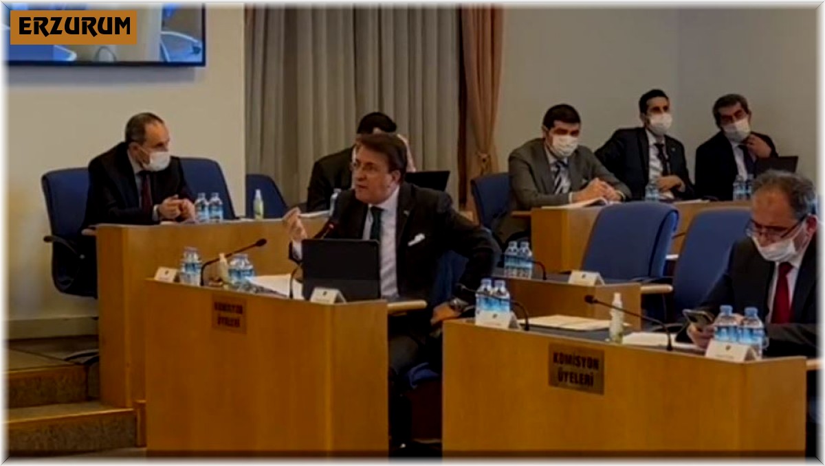 Aydemir doğalgaz düzenlemesini değerlendirdi