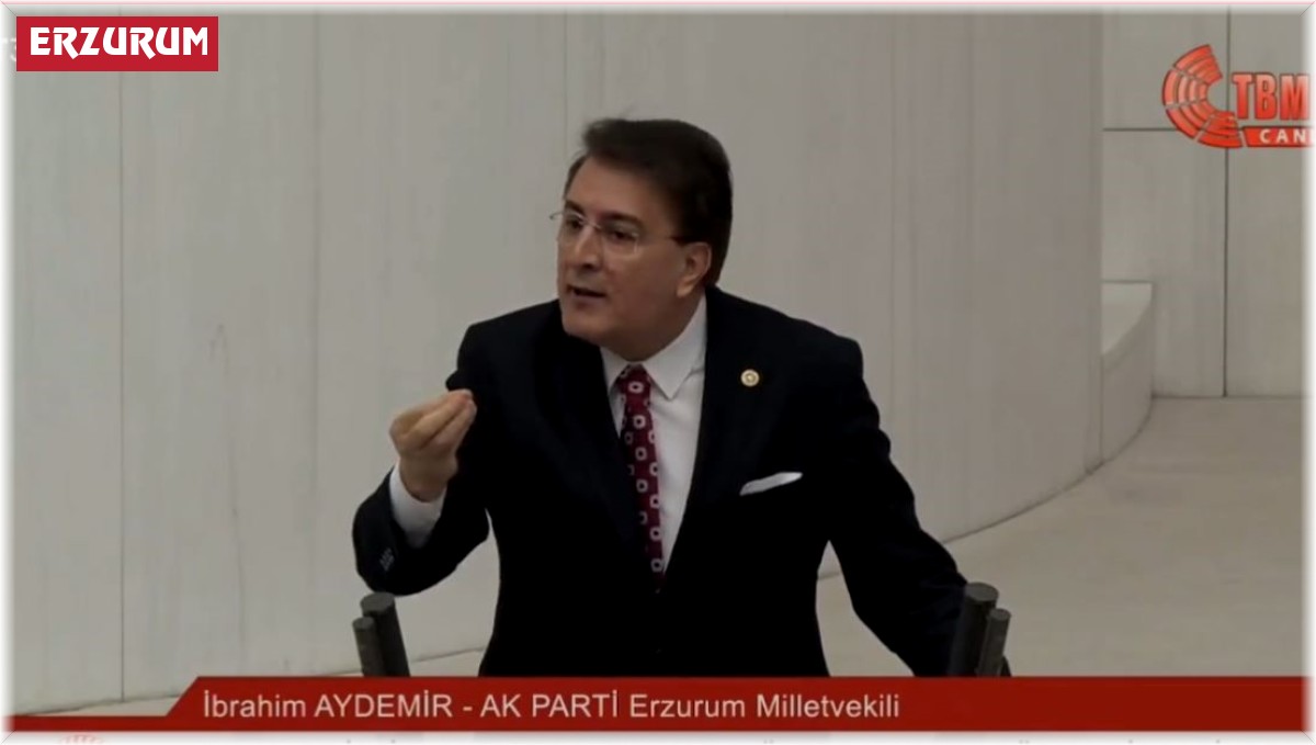 Aydemir TBMM'de Erzurum'un manasını paylaştı