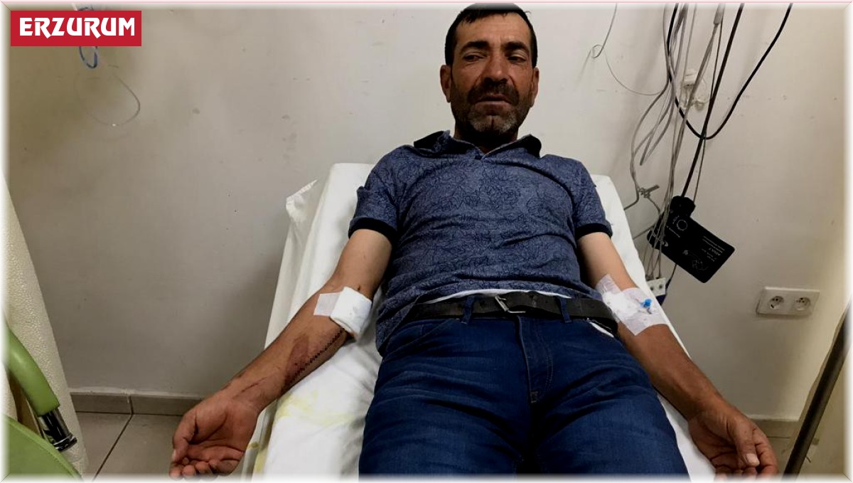 Ayı çobana saldırdı