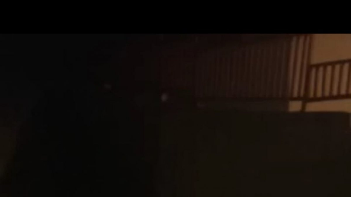 Ayı ve yavrusu şehir merkezine indi