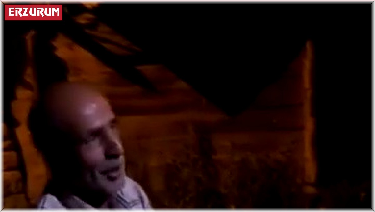 Ayı yavrusu köye indi