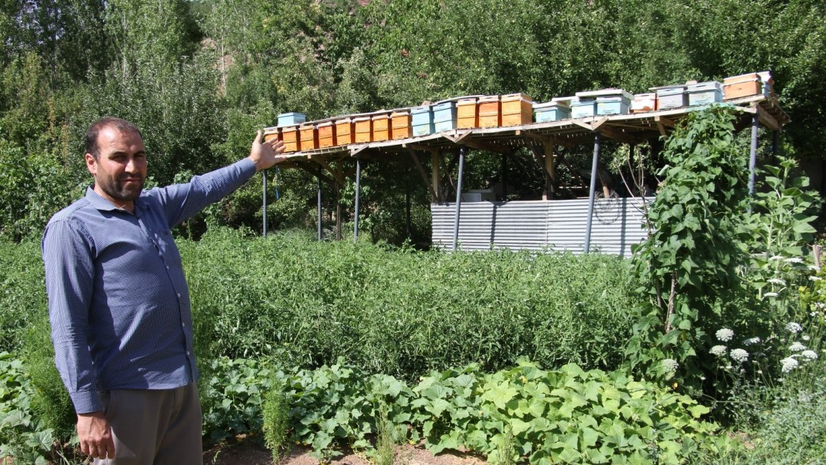 Ayılar balını yiyince çareyi 3,5 metrelik iskele kurmakta buldu