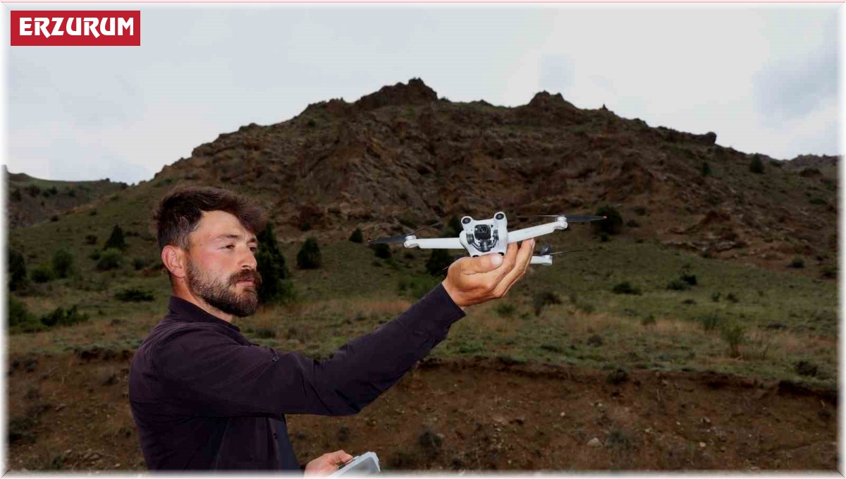 Ayıların kavgasını görüntüledi