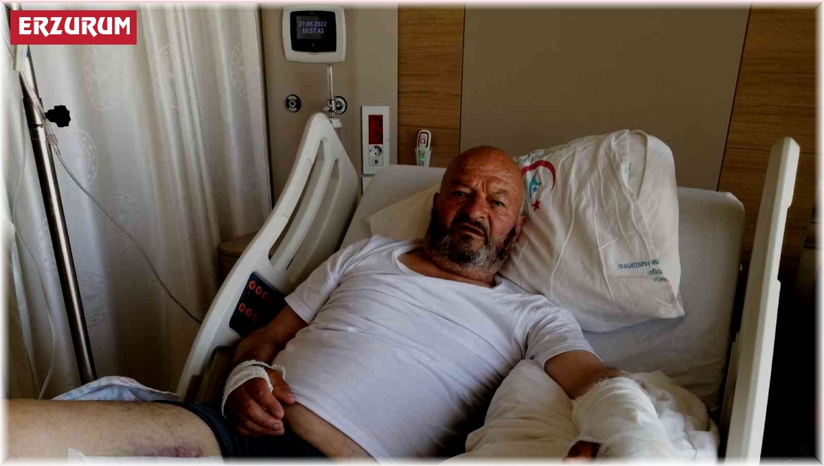 Ayının saldırısına uğrayan yaşlı adam tedavi altına alındı