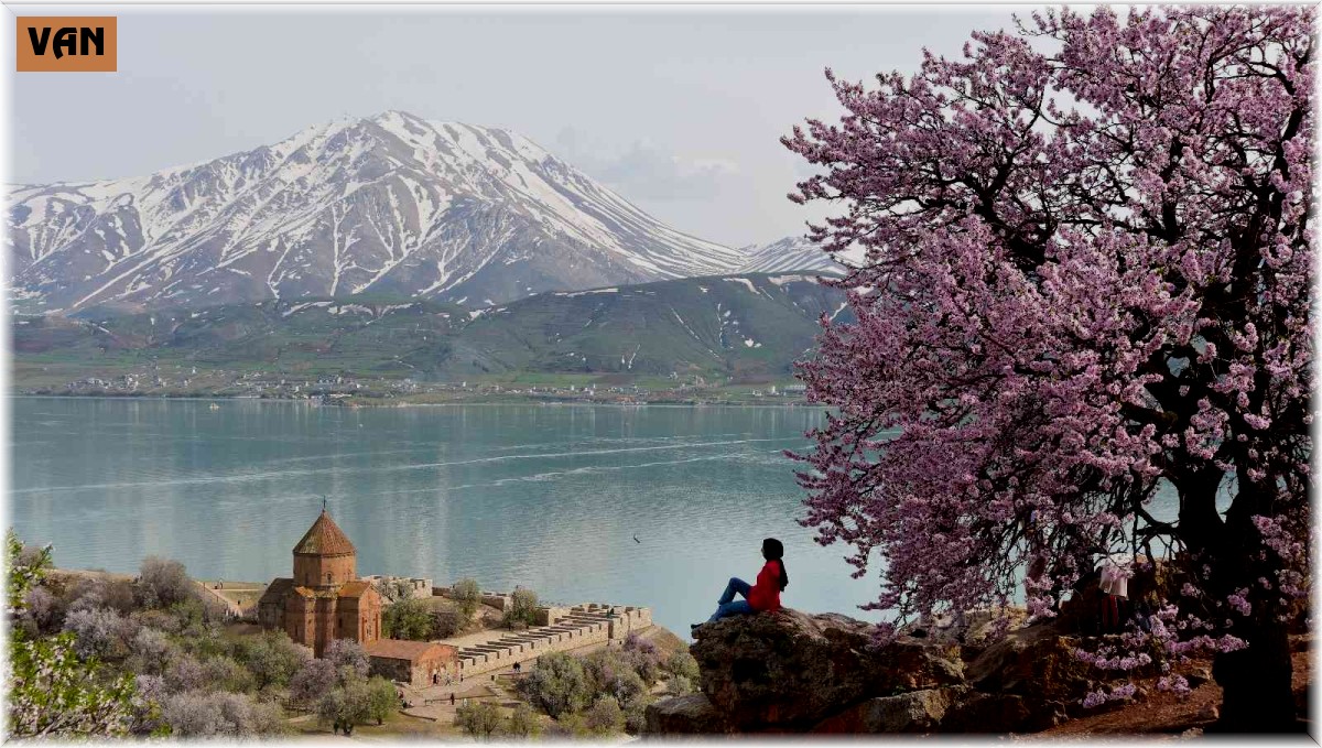 Badem çiçekleriyle renklenen Akdamar Adası'nda görsel şölen