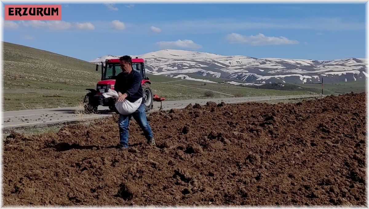 Bahar geldi tohum toprak ile buluştu