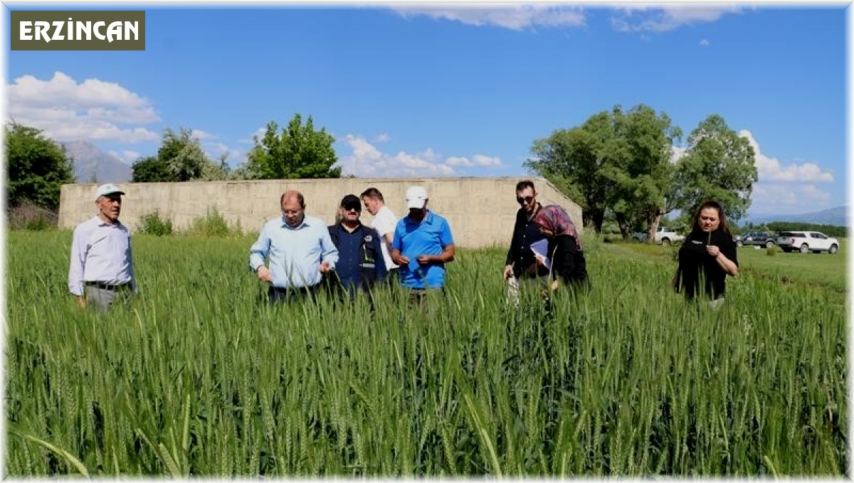 Bahar yağmurları çiftçinin yüzünü güldürdü