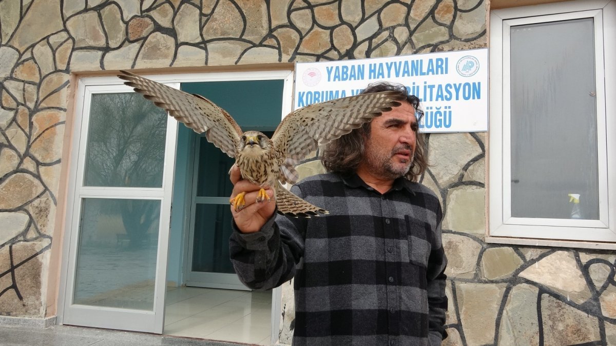 Baharın gelmesiyle yaban hayvanlarında hastalıklar arttı