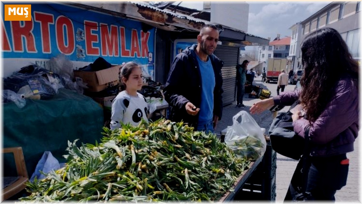 Baharın müjdeleyicisi gülbahar bitkisi tezgâhlarda yerini aldı