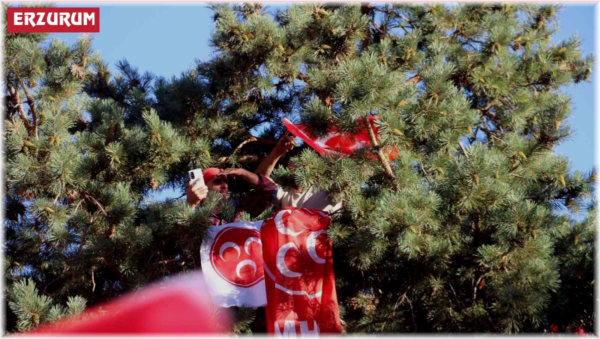 Bahçeli'nin mitinginde boş yer bulamayan vatandaşlar ağaca tırmandı