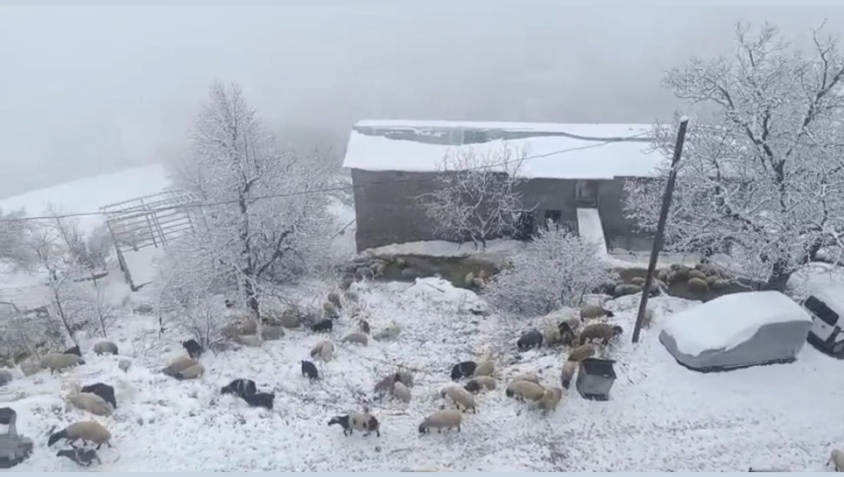 Bahçesaray'da kar yağışı
