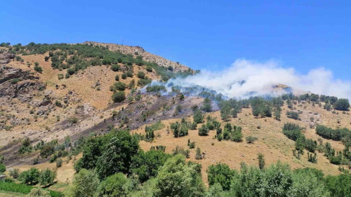 Bahçesaray'da örtü yangını