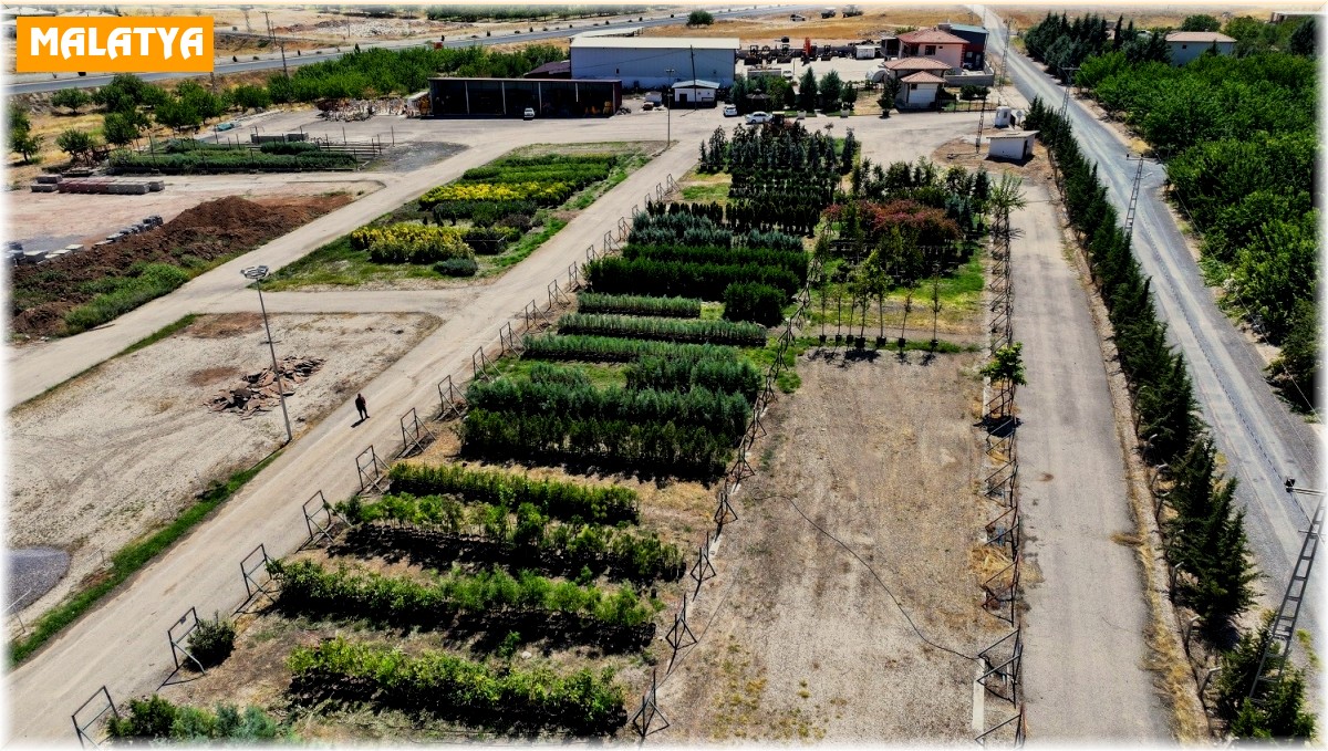 Bakan Geçit, fidanlık alanını inceledi