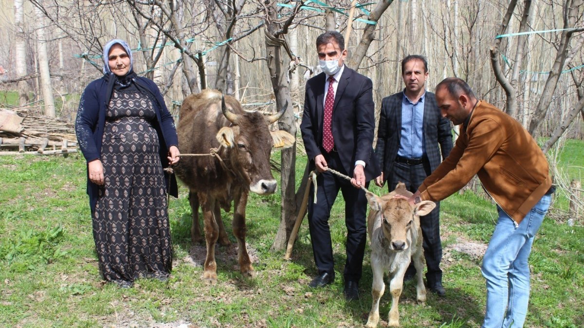 Bakan Pakdemirli'den, Diyarbakır annesine inek ve buzağı