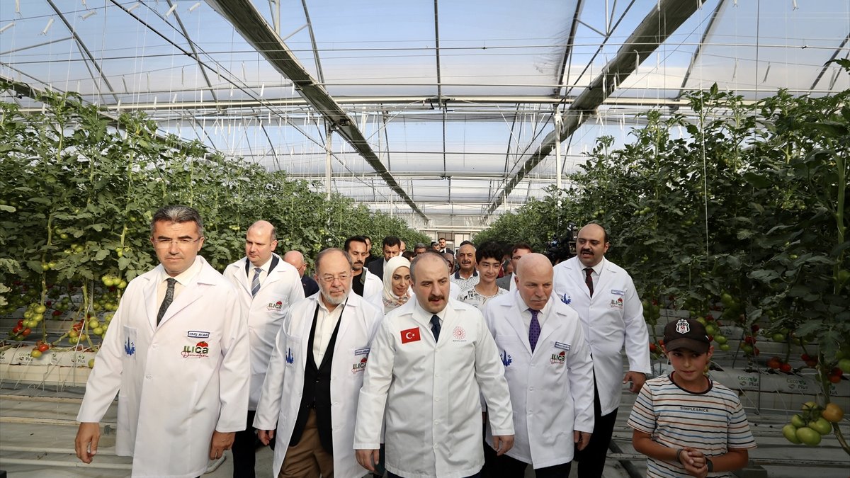 Bakan Varank, Erzurum'da termal kaynakla domates üretilen seranın açılışında konuştu: