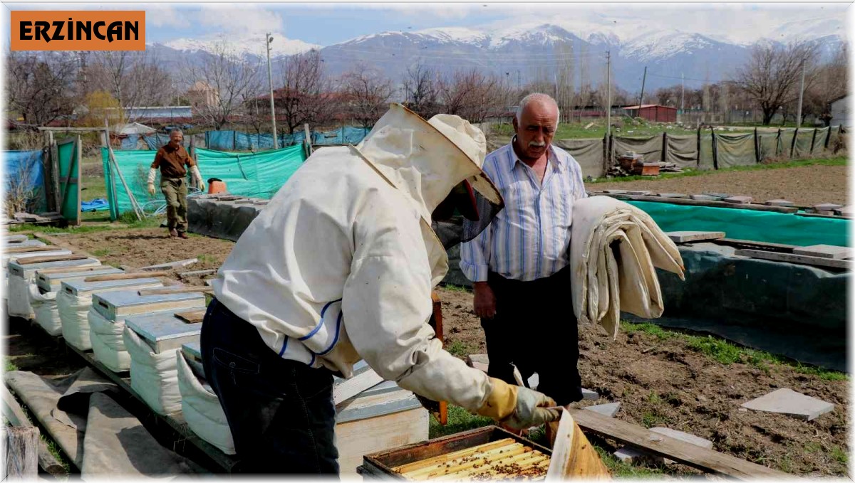 Bal arıları özgürlüğüne kavuştu