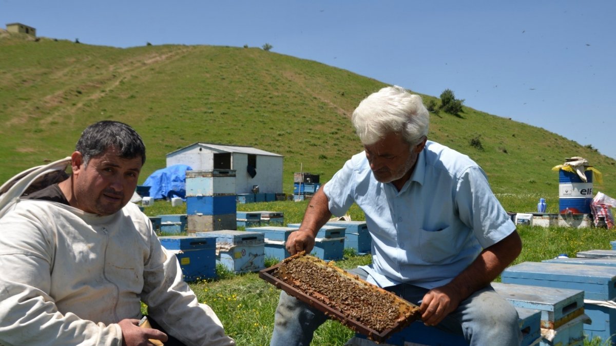 Bal arılarından Muş ekonomisine tatlı katkı