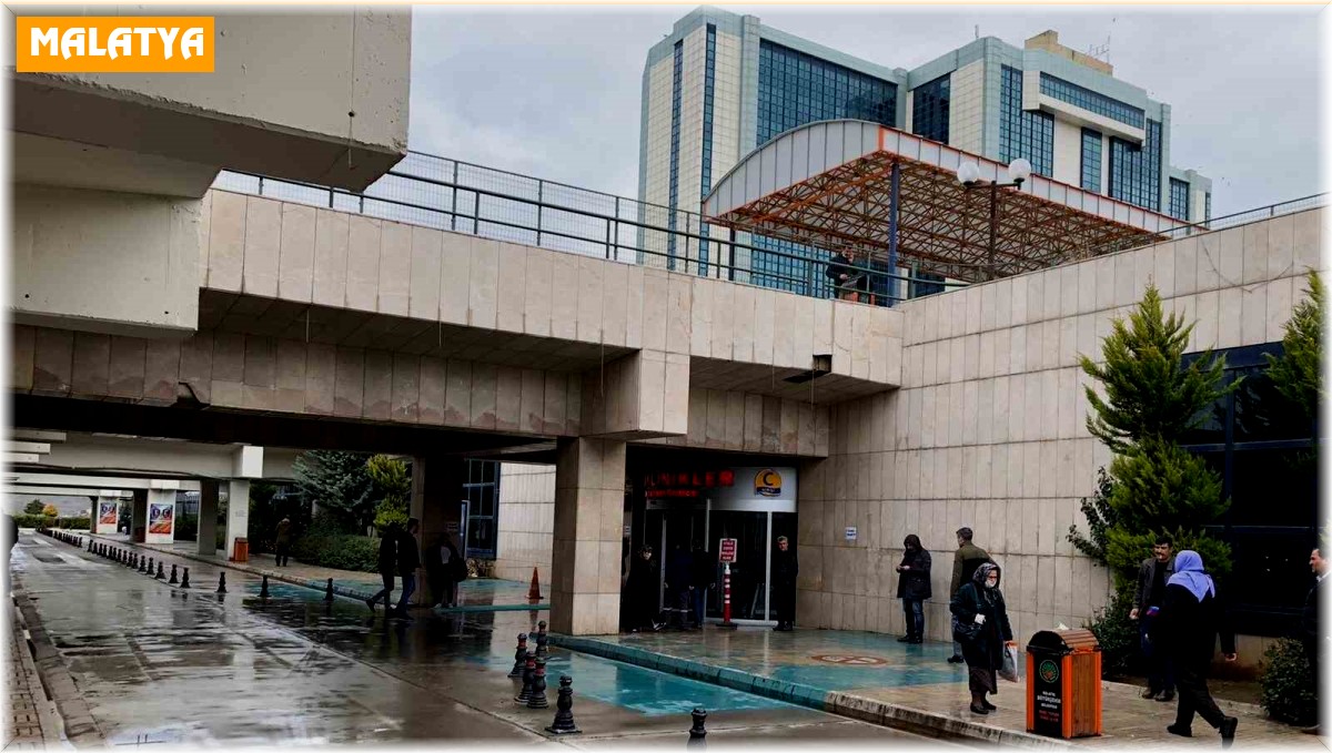 Bal arısının soktuğu adam komaya girdi