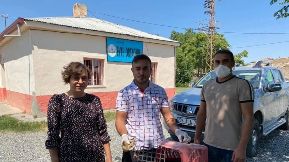 Balaban kuşu tedavi altına alındı