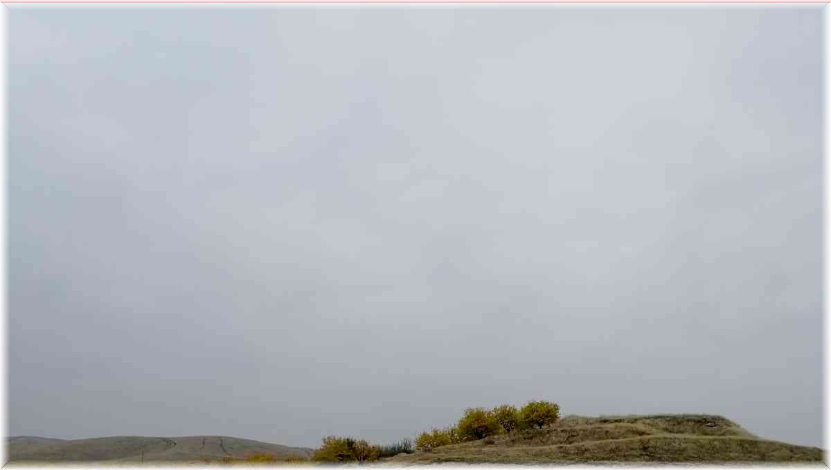 Balık avlak sahası ihale edilecek