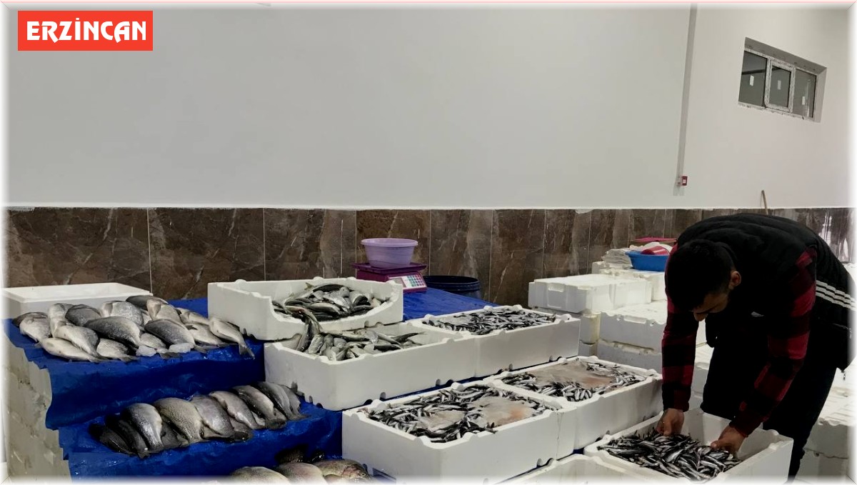 Balık satışları arttı, esnafın yüzü güldü