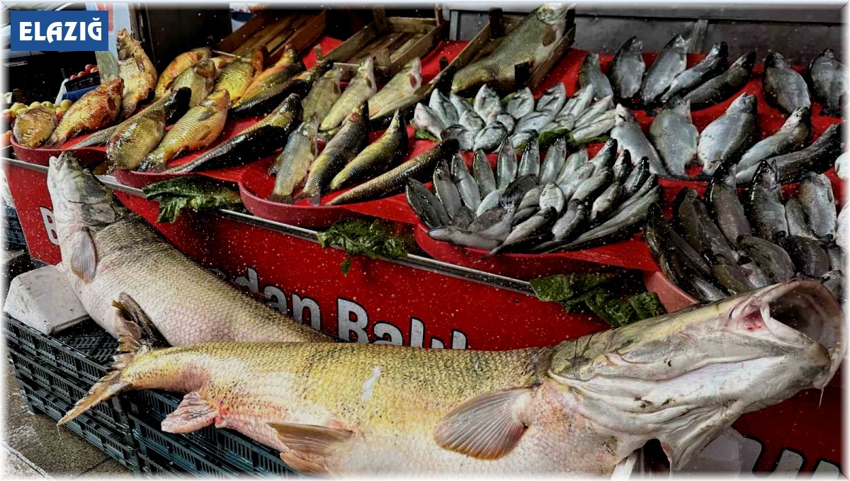 Balıkçı tezgahlarında çeşit arttı, fiyat düştü