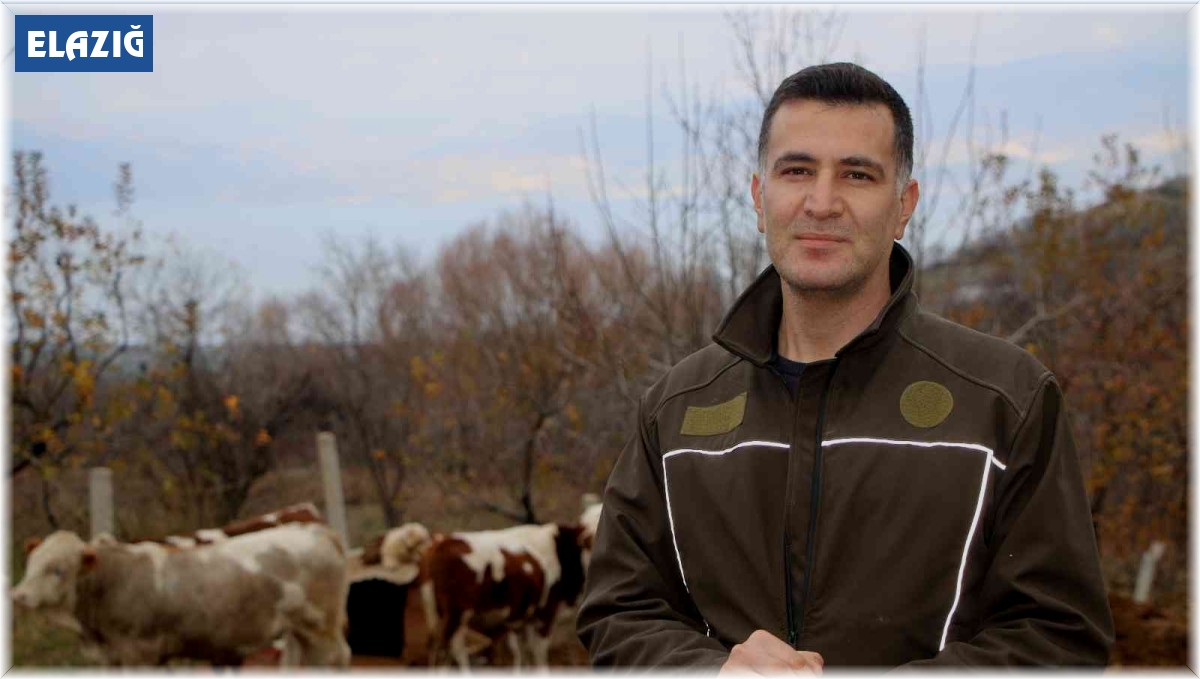 Bankacılığı bıraktı, devlet desteğiyle köyüne yerleşip hayvancılığa başladı