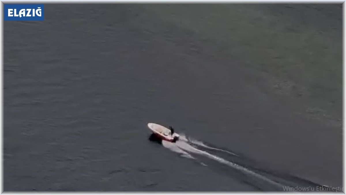 Baraj gölünde mahsur kalan köpekleri vatandaş kurtardı