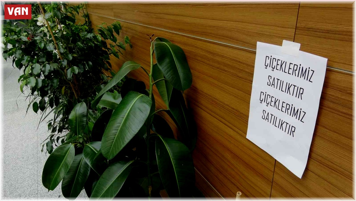 Başhekim Sarıkaya'dan takdir toplayan hareket