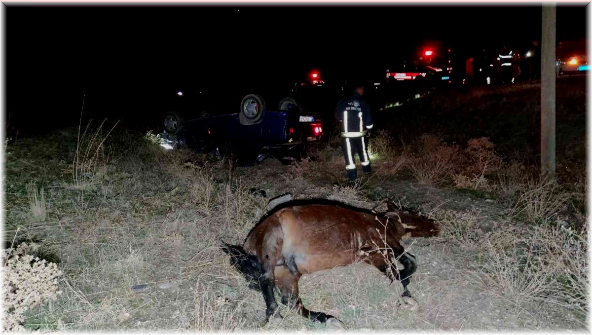 Başıboş ata çarpan otomobil takla attı: 1 ölü, 6 yaralı
