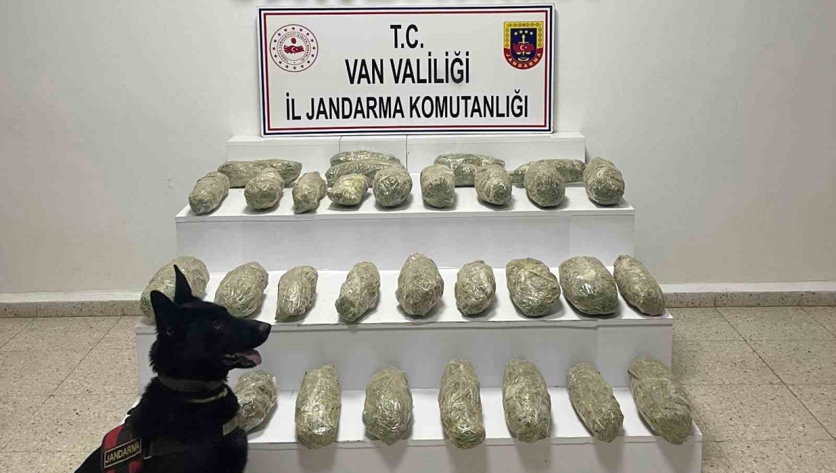 Başkale'de 21 kilo 350 gram skunk ele geçirildi